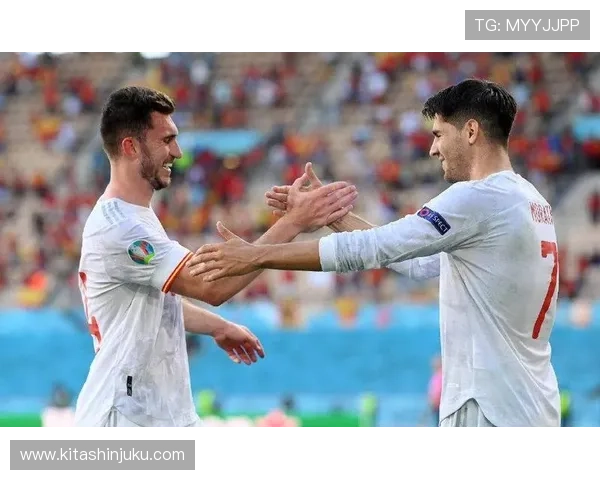 瑞典对波兰附加赛门票告罄